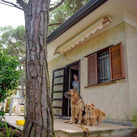 Arco Bungalow Eraclea Mare Zewnętrze zdjęcie