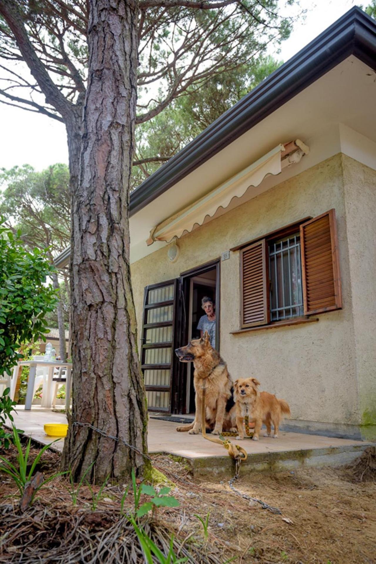Arco Bungalow Eraclea Mare Zewnętrze zdjęcie